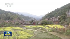 【新思惟引领新征程】打制村落特色财产